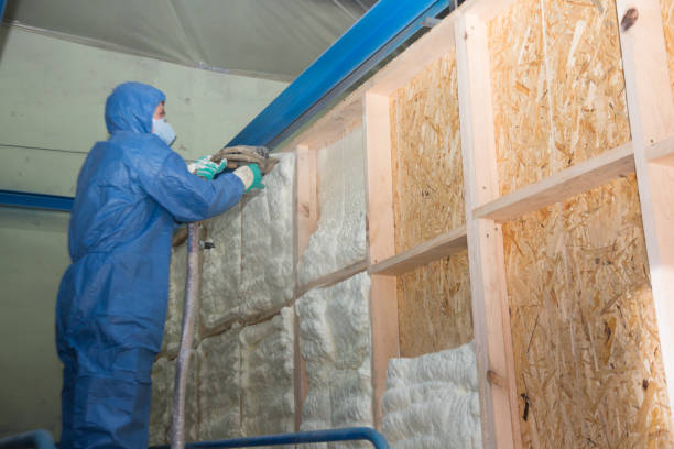 Best Blown-in Insulation  in Jackson, CA