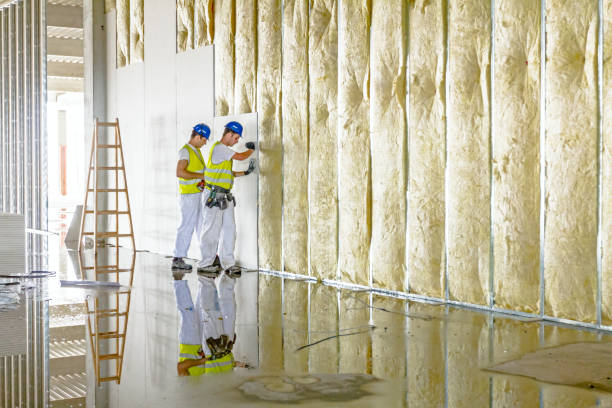 Best Insulation Contractor Near Me  in Jackson, CA